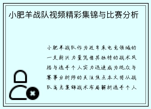 小肥羊战队视频精彩集锦与比赛分析